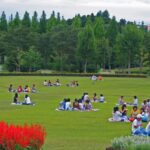 親子でピクニック♪(^^♪ 東北の芝生がある広場スポット！